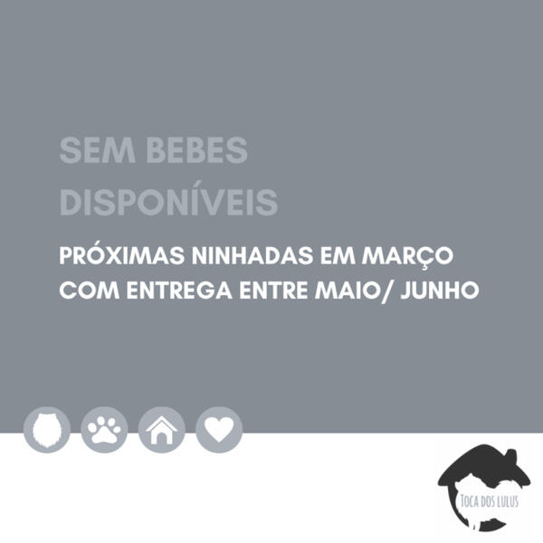 ▪ Para fêmeas, aconselhamos a reserva, assim que a mesma for aberta para o bebê que você escolheu!